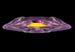 ferengi_back